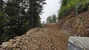 Trabzon’da geçen yıl 43 kilometre yeni orman yolu yapıldı