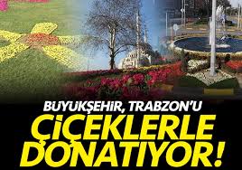 Trabzon Büyükşehir Belediyesinin çiçek ve fidan dikim çalışmaları sürüyor