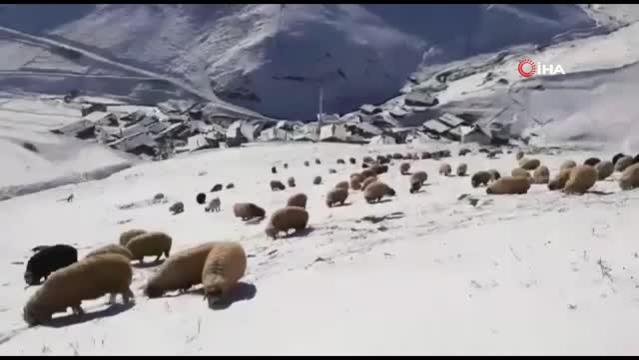 Bayburt – Trabzon sınırındaki köyler kar beyaz