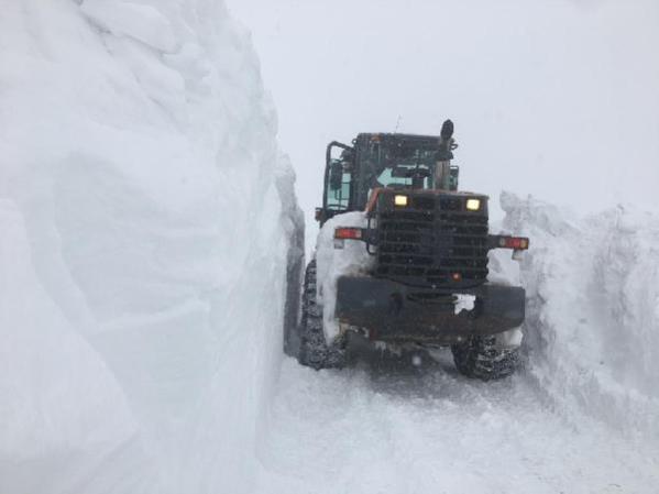 Doğu Karadeniz’de 448 yerleşim yerinin yolu kardan kapalı