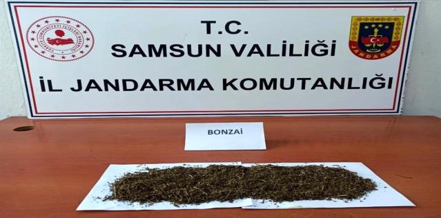 Samsun’da uyuşturucu ve kaçakçılık operasyonları: 28 gözaltı