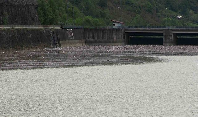 Artvin’de sel suları Muratlı Baraj Gölü’nü çöplüğe döndürdü