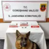 Gümüşhane’de Uyuşturucu Operasyonu