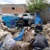 Ahır Çöktü, İki Hayvan Kurtarıldı