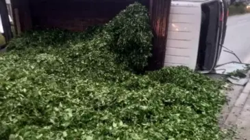 Trabzon’da Çay Yüklü Kamyon Devrildi