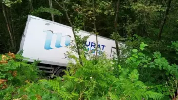 Kargo Aracı Devrildi: 1 Yaralı