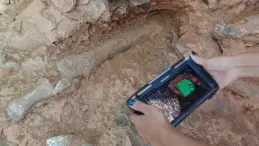 Tavas’ta 27 Fosil Türü Keşfedildi