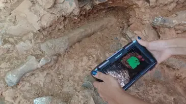 Tavas’ta 27 Fosil Türü Keşfedildi