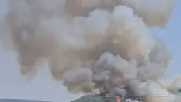 İzmir’de Orman Yangını