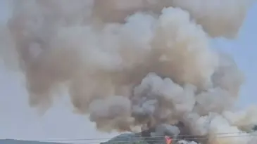 İzmir’de Orman Yangını