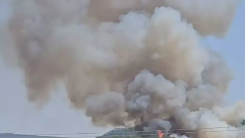 İzmir’de Orman Yangını