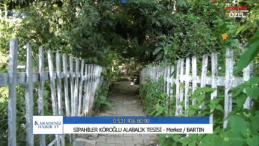 “Doğal Güzellikler İçinde Lezzet Şöleni: Sipahiler Köroğlu Alabalık Tesisi”