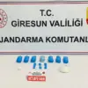 Giresun’da Uyuşturucu Operasyonu: 2 Tutuklama