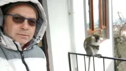 Giresun’da Kaçan Maymun, Evdeki Adamla Oynadı