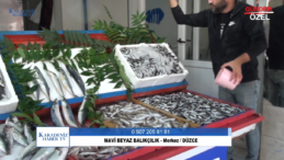 MAVİ BEYAZ BALIKÇILIK – Merkez / DÜZCE