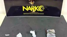 Düzce’de Uyuşturucu Operasyonu: 1 Tutuklandı