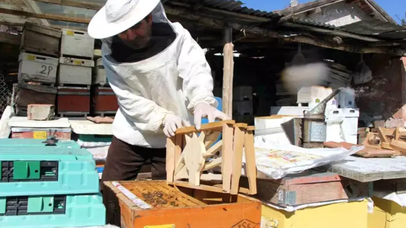 Bu seçimde kazananı ‘arılar’ belirleyecek